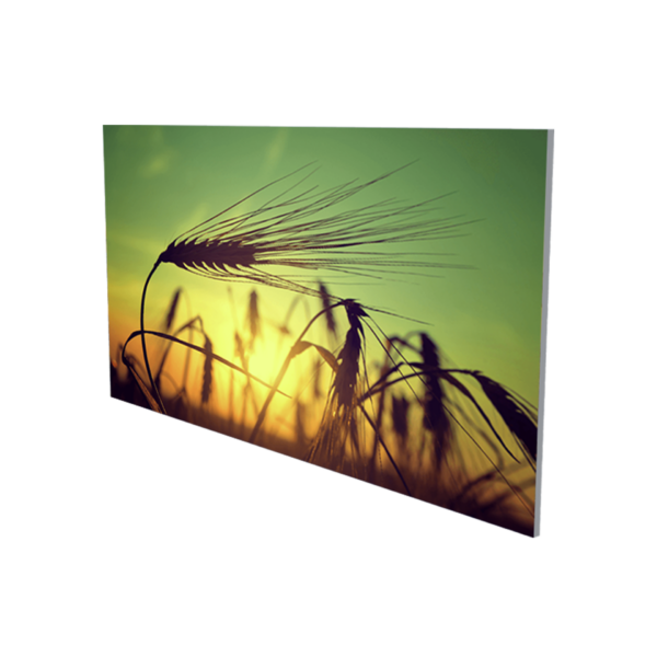 TECHNOTHERM MK infrared heater